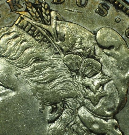 1884-S-Morgan